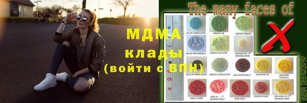 индика Нягань