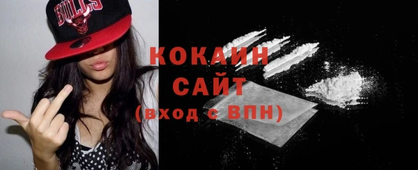 спайс Няндома
