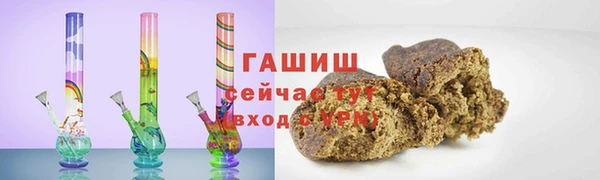 индика Нягань