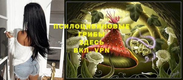 первитин Новозыбков