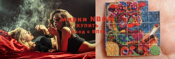 индика Нягань