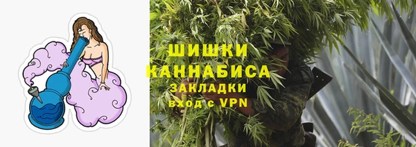 индика Нягань