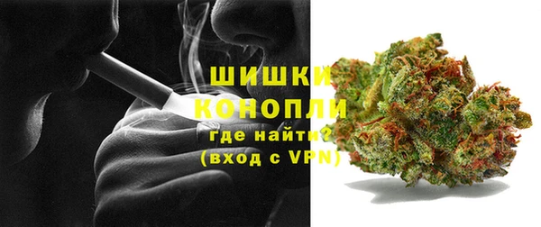 спайс Няндома