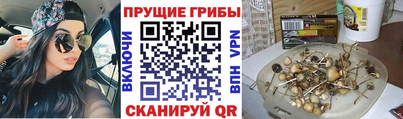 Псилоцибиновые грибы ЛСД  Анапа 