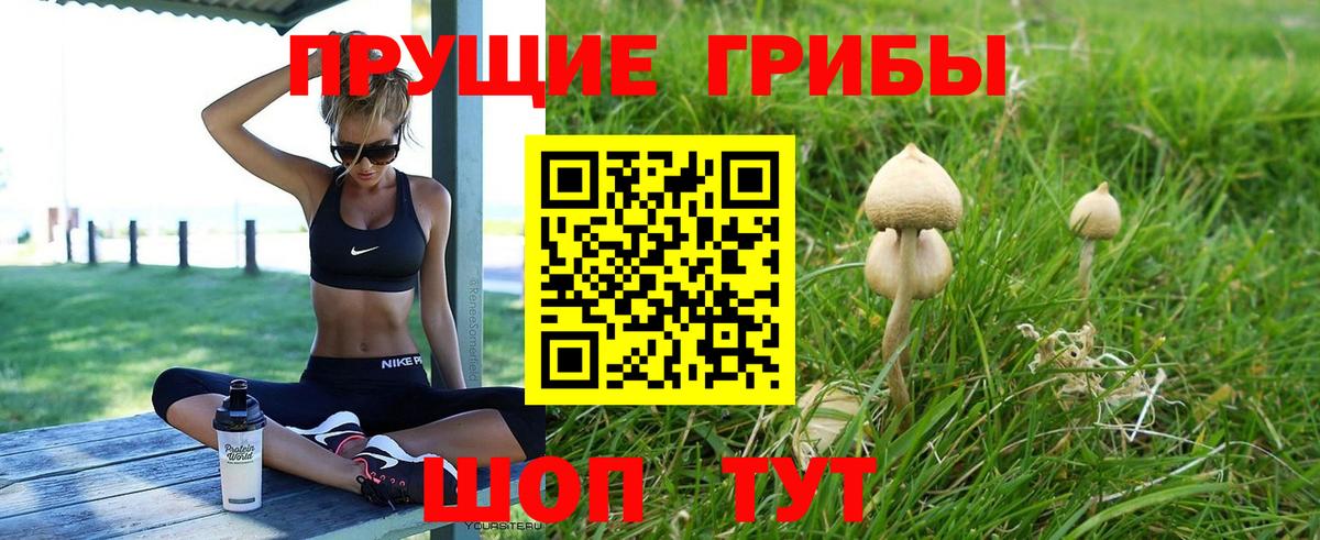 Анапа  Псилоцибиновые грибы GOLDEN TEACHER  Вход с VPN 