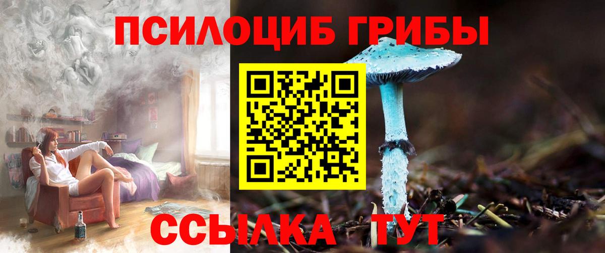 где можно купить наркотик  Анапа  Галлюциногенные грибы GOLDEN TEACHER  Галлюциногенные грибы Magic Shrooms 